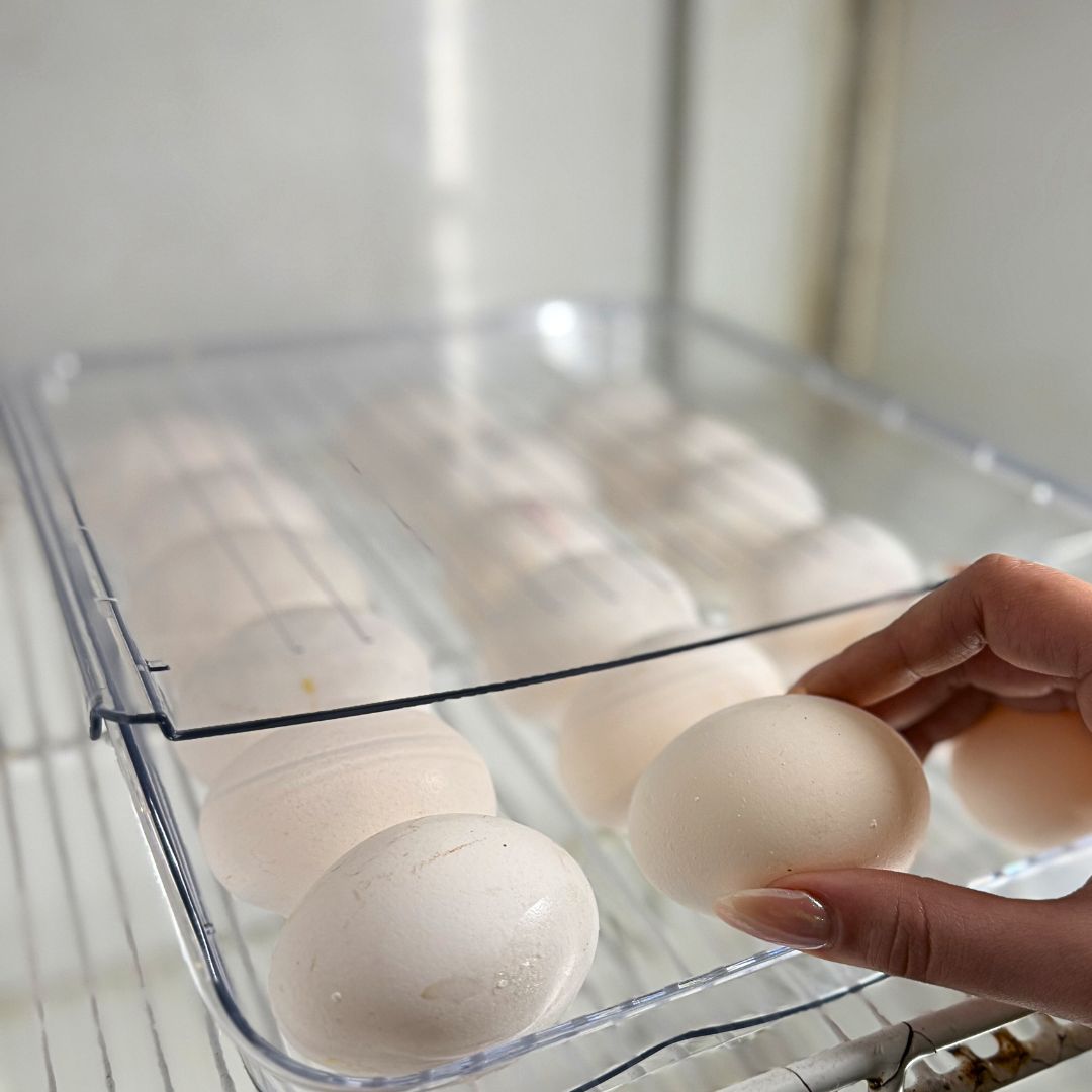 Qoolish Rolling Egg Storage Tray