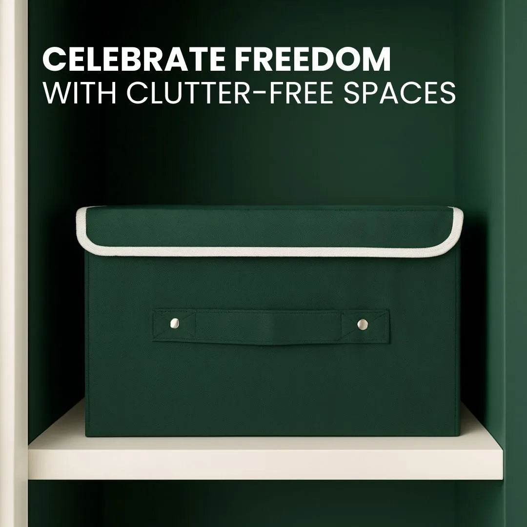 Celebrate freedom with Qoolish organizer box – perfect for clutter-free wardrobe storage