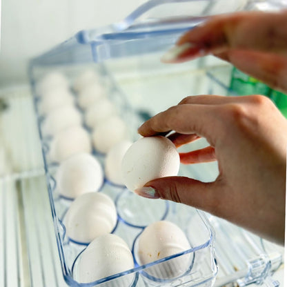 Transparent Egg Tray