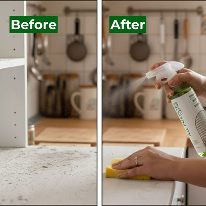 All Purpose Cleaner - 500ml