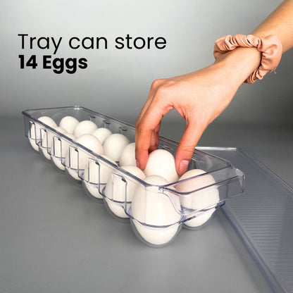 Transparent Egg Tray