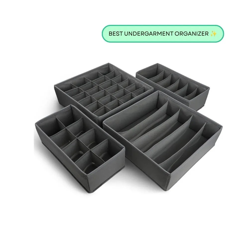 Qoolish 4-Pack Undergarments Drawer Organizers (Available in 6 Colors)