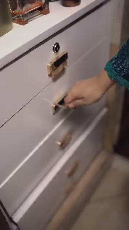 Qoolish 4-Pack Undergarments Drawer Organizers (Available in 6 Colors)